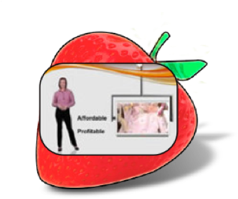 Berry Creative sample icon