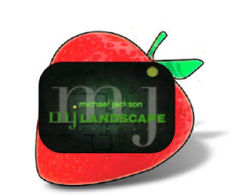 Berry Creative sample icon