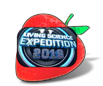 Berry Creative Samples Icon