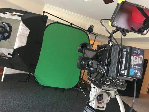 Berry Creative Portable Green Screen Setup