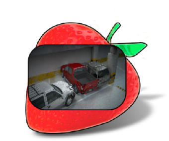 Berry Creative sample icon