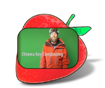 Berry Creative Samples Icon