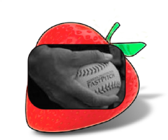 Berry Creative sample icon