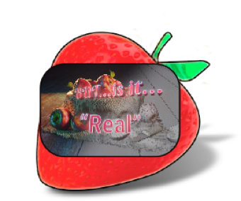 Berry Creative sample icon